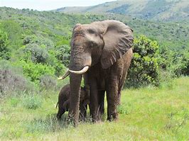 Never Ending Footstep